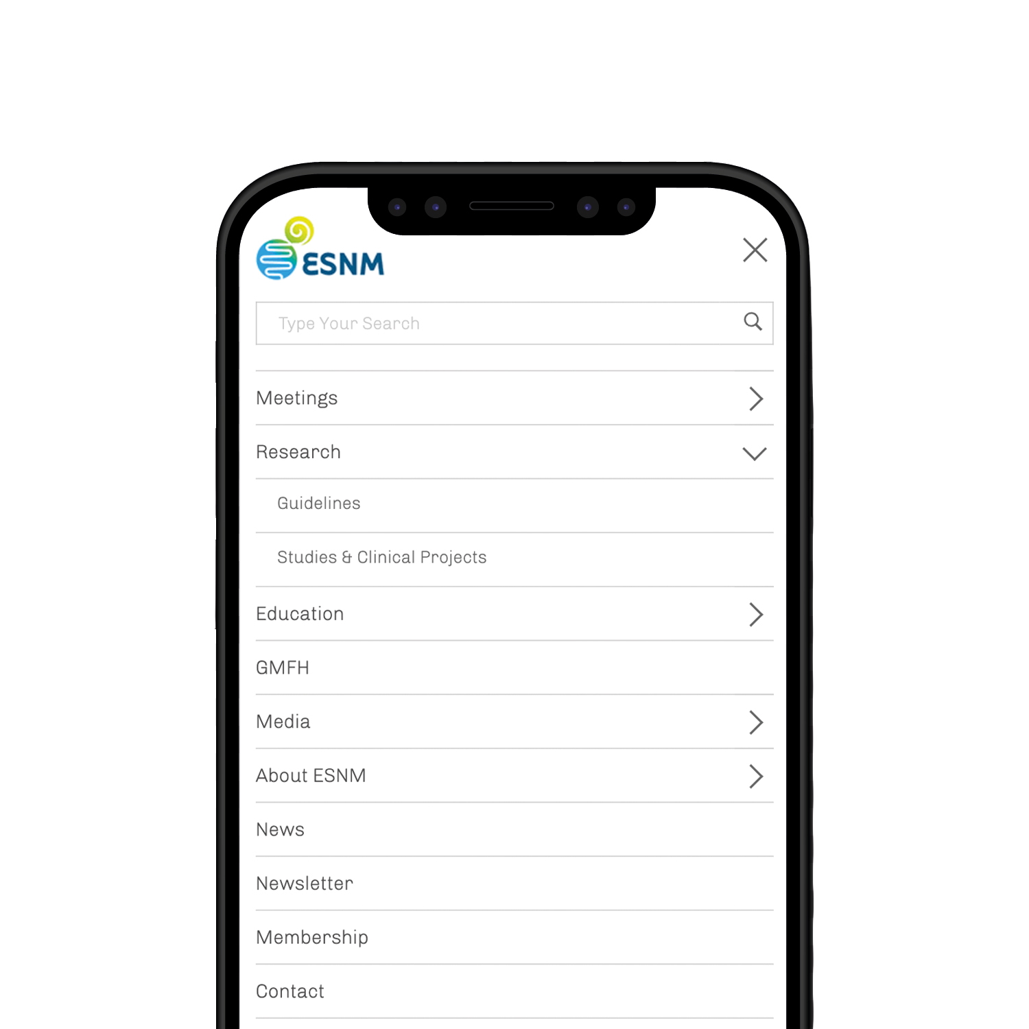 Mobile view of the navigation